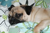 Фотография Зарубина Артема