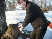 Фотография  