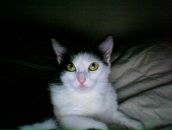 Фотография Измалковой Елены