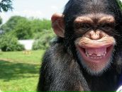 Фотография Ришко Ани