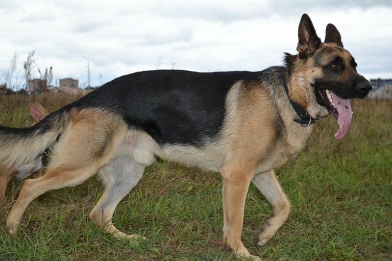 Дмитрий Любенко фотография #16