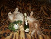 Фотография Веселова Александра