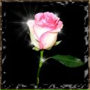 Фотография Шпак Марии