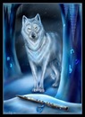 Фотография Ришко Андрея