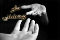 Фотография Бондаренко Ксении