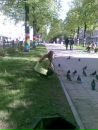 Фотография Sprouz Kate