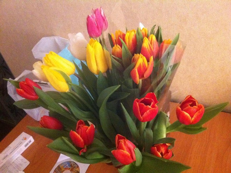 Любовь Плотица фотография #15