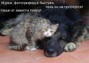 Вікторія Фенин фотография #24 (источник - https://vk.com/id168366665)