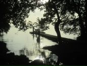 Дмитрий Гомон фотография #32 (источник - https://vk.com/id833603)