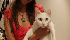 Фотография Галиной Ирины