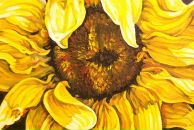 Фотография Кисовой Лены