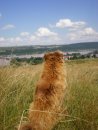 Рідко Буваю фотография #35 (источник - https://vk.com/id9763194)