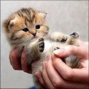 Іванка Береза фотография #2 (источник - https://vk.com/id30390680)