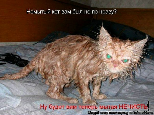 N@$tya Смирнова фото №17