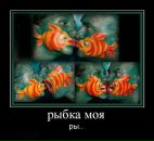 Kiray< Volk фотография #10 (источник - https://vk.com/id13968437)