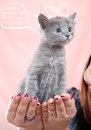 Фотография Ветховой Полины