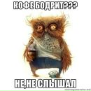 Ілля Бочков фотография #5 (источник - https://vk.com/id55860732)