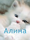 Аліна Штогрин фотография #50 (источник - https://vk.com/id148285446)