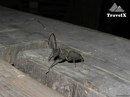 Αндрей Κарпов фотография #13 (источник - https://vk.com/id166868770)
