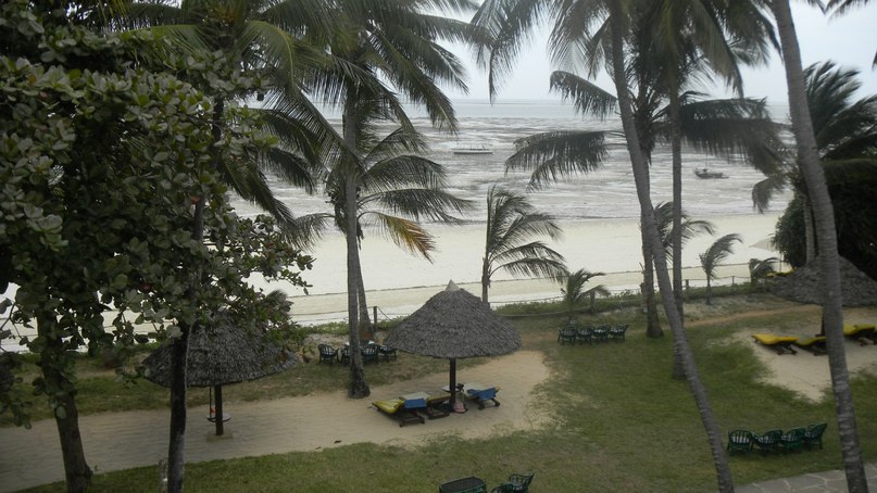 Oguz Saka фотография #24