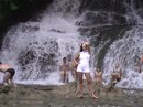 Андрій Николин фотография #12 (источник - https://vk.com/id156751493)