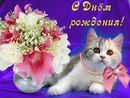 Віктор Костецький фотография #15 (источник - https://vk.com/id151211726)