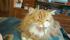 Фотография Нацветовой Надежды