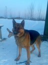 Віталік Костюк фотография #8 (источник - https://vk.com/id157820094)
