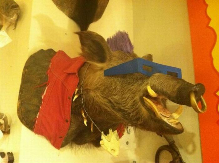 Ян Сётин фото №18