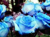 Віталік Кирильчук фотография #4 (источник - https://vk.com/id29452331)