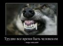 Сергей Рогачев фотография #43 (источник - https://vk.com/id101159473)