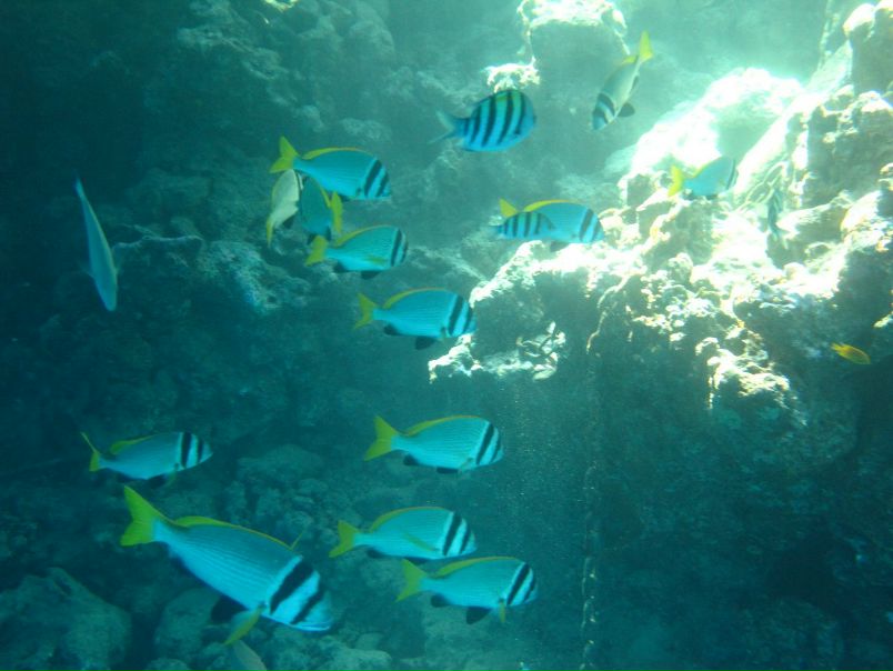 Борис Кишкилев фото №10