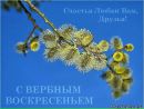 Міша Кузан фотография #50 (источник - https://vk.com/id152755055)
