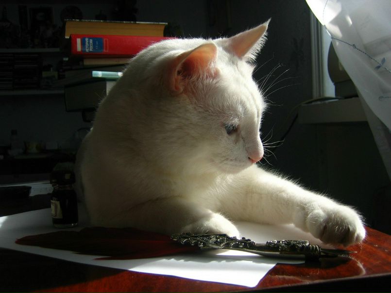 №8, Наталья Корякина, 76 лет, Баку №8, Наталья Корякина, 76 лет, Баку