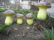 Юра Павлік фотография #37 (источник - https://vk.com/id96579456)