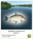 Сергій Тимків фотография #26 (источник - https://vk.com/id56049737)