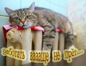 Татьяна Иванченко фотография #32 (источник - https://vk.com/id37092397)