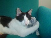 Igor Tarasov фотография #48 (источник - https://vk.com/id2694271)