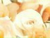 Іра Федорович фотография #36 (источник - https://vk.com/id147507521)