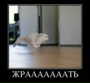 Галина Сафронів фотография #40 (источник - https://vk.com/id24086286)