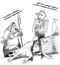 Сергей Питкевич фотография #27 (источник - https://vk.com/id61784846)