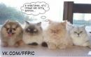 Фотография Игнашевой Юлианы