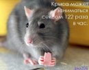Діма Остапишин фотография #26 (источник - https://vk.com/id26627804)