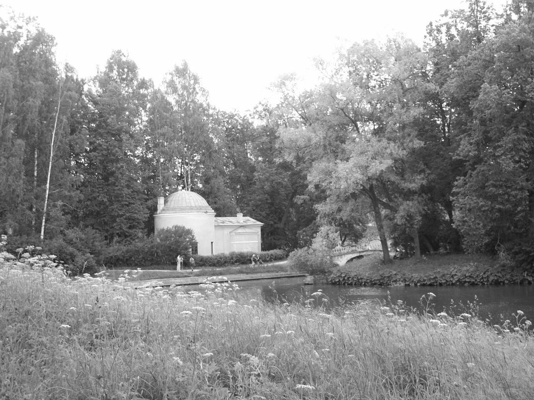 Дмитрий Грофф фотография #21
