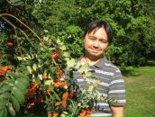 Фотография  