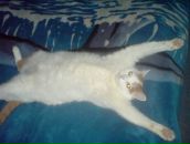 Фотография Вихрова Дениса