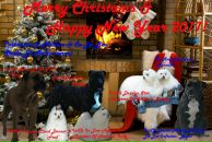 Фотография Чемакиной Екатерины