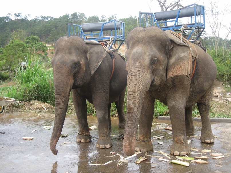 Дмитрий Плотко фотография #46