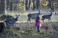 Роман Нутерман фотография #9 (источник - https://vk.com/id766871)