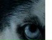 Владислав Матвеев фотография #19 (источник - https://vk.com/id19483890)